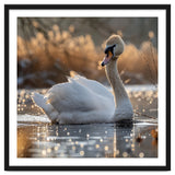 Majestic Swan On Calm Water During Sunset Nature Scene thumbnail