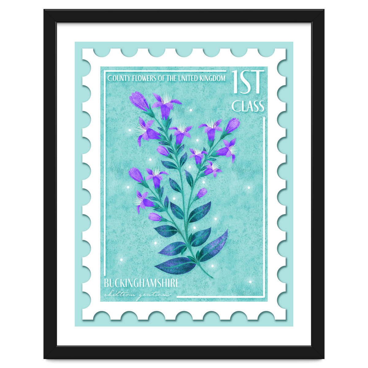 The Buckinghamshire Chiltern Gentian Postage Stamp