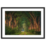 Soft morning light thumbnail