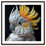 White Cockatoo With Yellow Crest Portrait thumbnail
