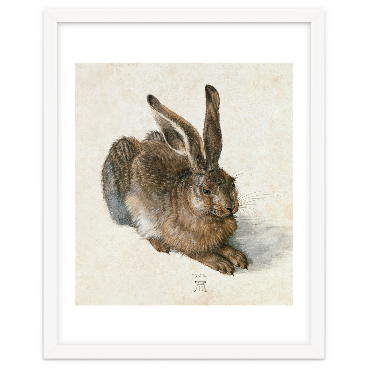 Hare-Hase. Watercolour.