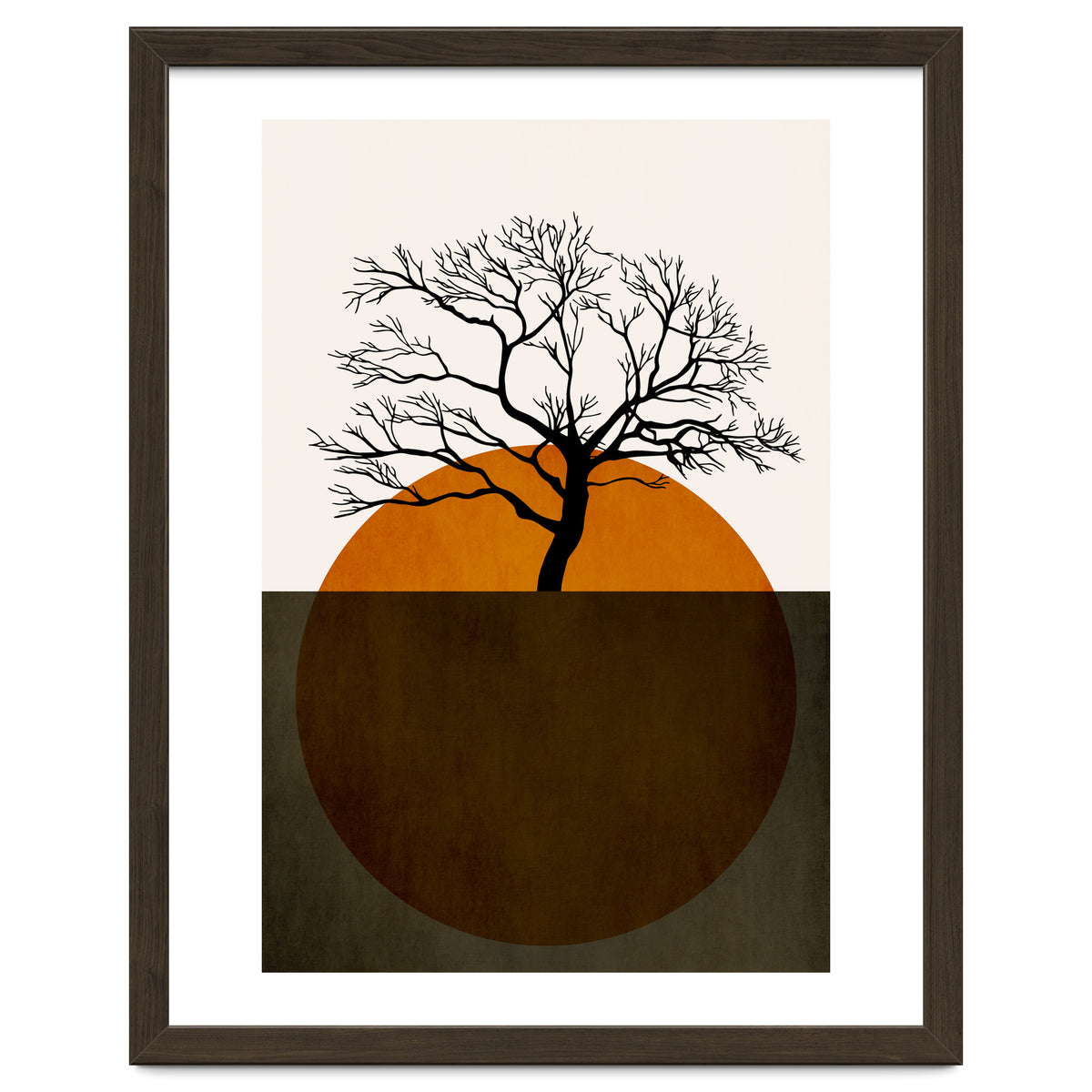 Sunny Days Of Silence