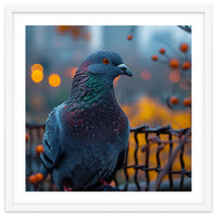 Pigeon With Water Droplets