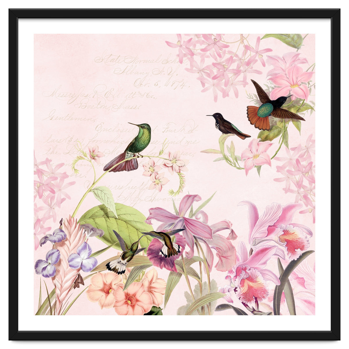 Hummingbirds in Flower Jungle