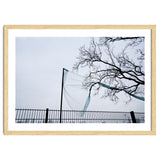 Net caught in a tree thumbnail