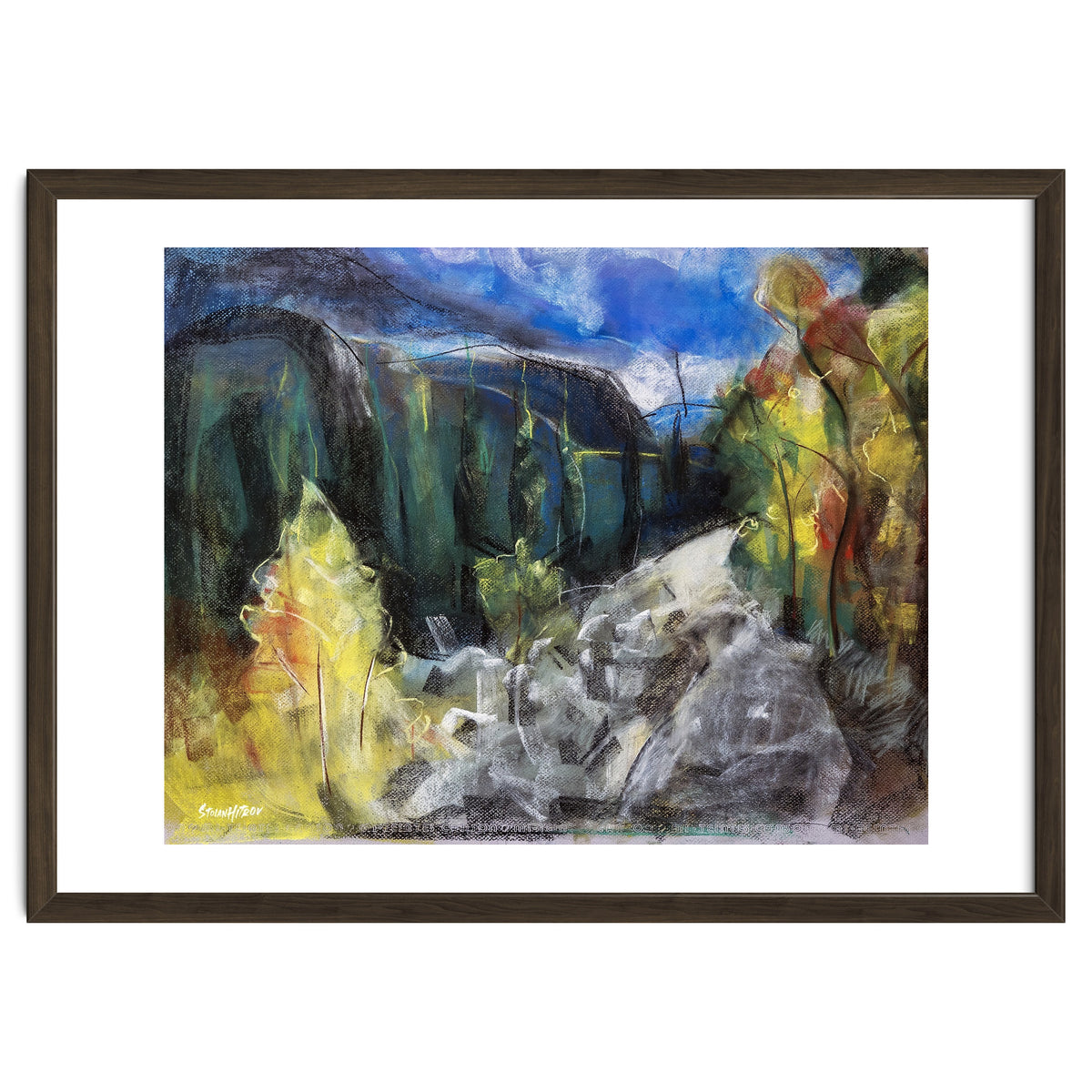 The Forest of Rila Mountain