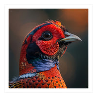 Close Up Pheasant Bird  (Print Only)