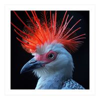 Secretary Bird (Print Only)