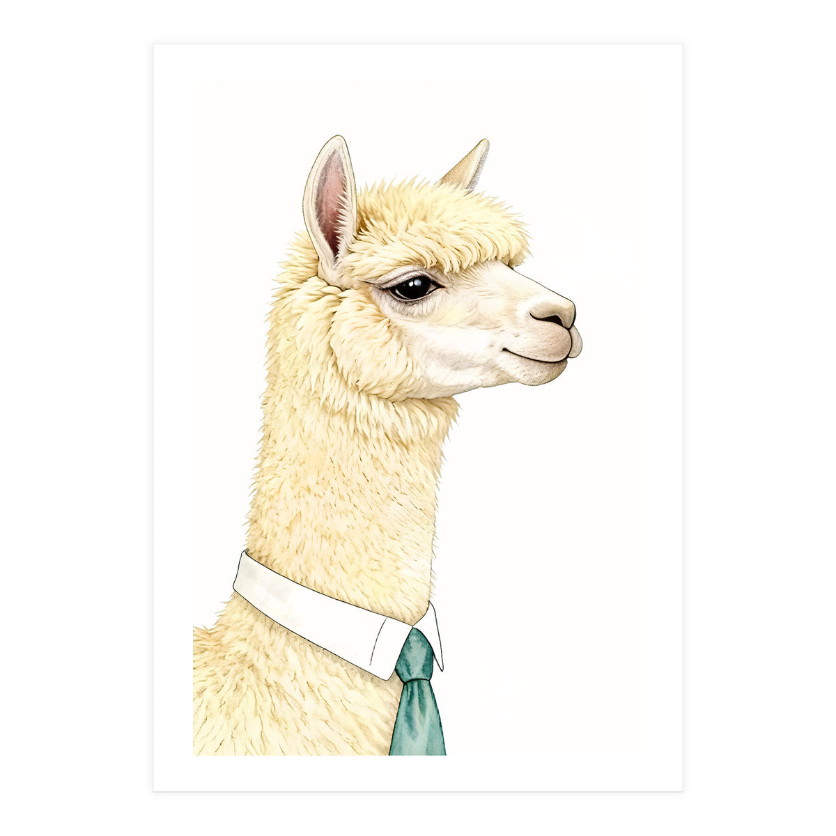 Alpaca  (Print Only)