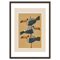 Tropic Trio