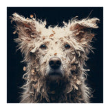 Old Dog 06 (Print Only) thumbnail