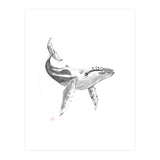Whale (Print Only) thumbnail