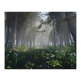 Art In The Forest (Print Only) thumbnail