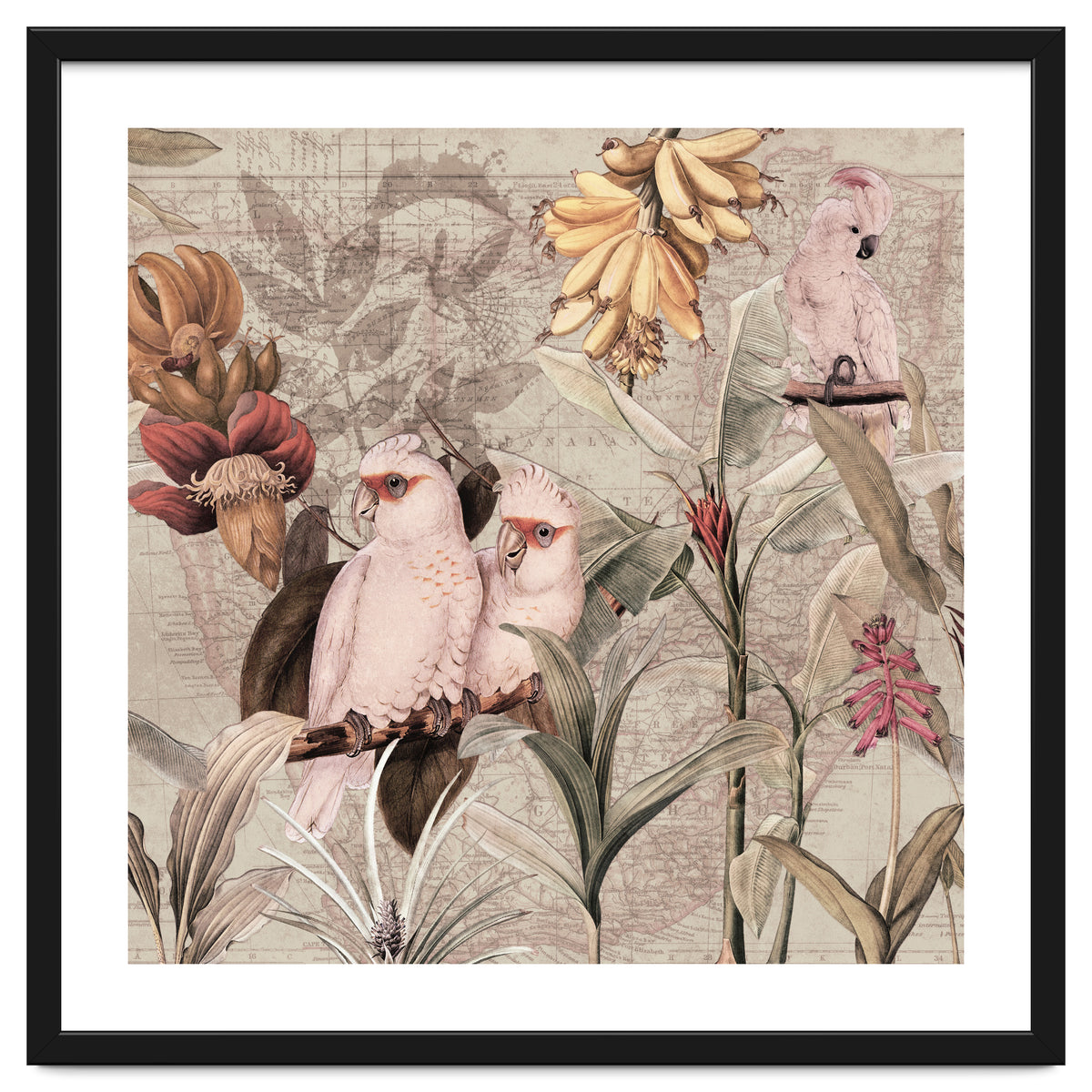 Cockatoo Exotic Bird Jungle