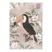 Exotic Bird Toucan (Print Only)