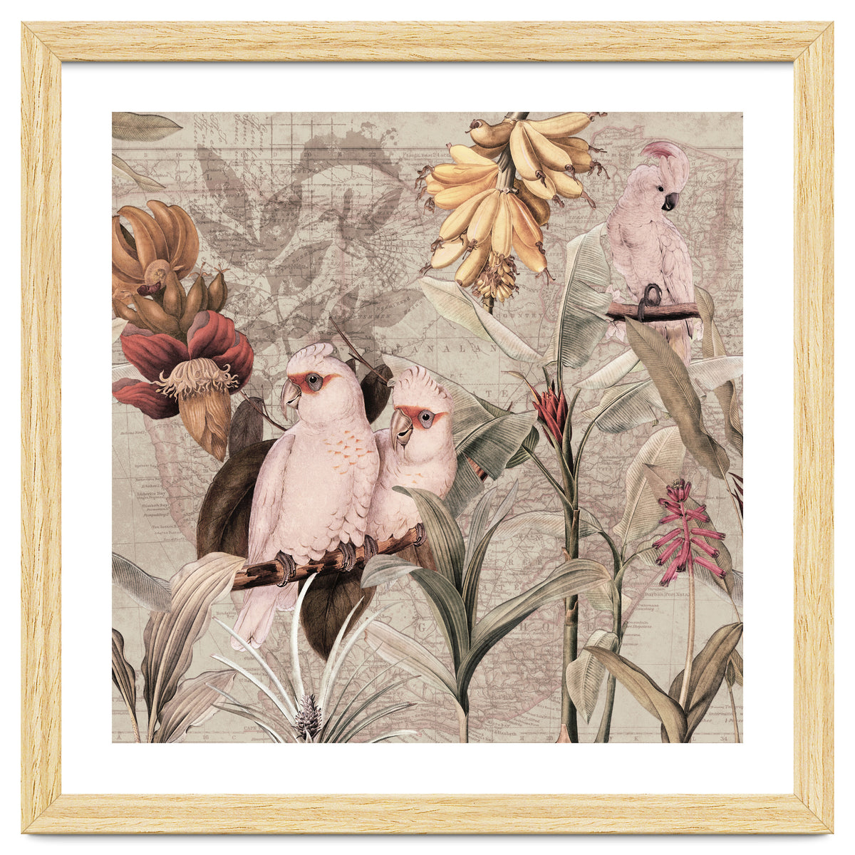 Cockatoo Exotic Bird Jungle