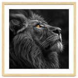 Majestic Lion Face Closeup Golden Eyes Black thumbnail