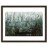 Photography - Summer Garden thumbnail