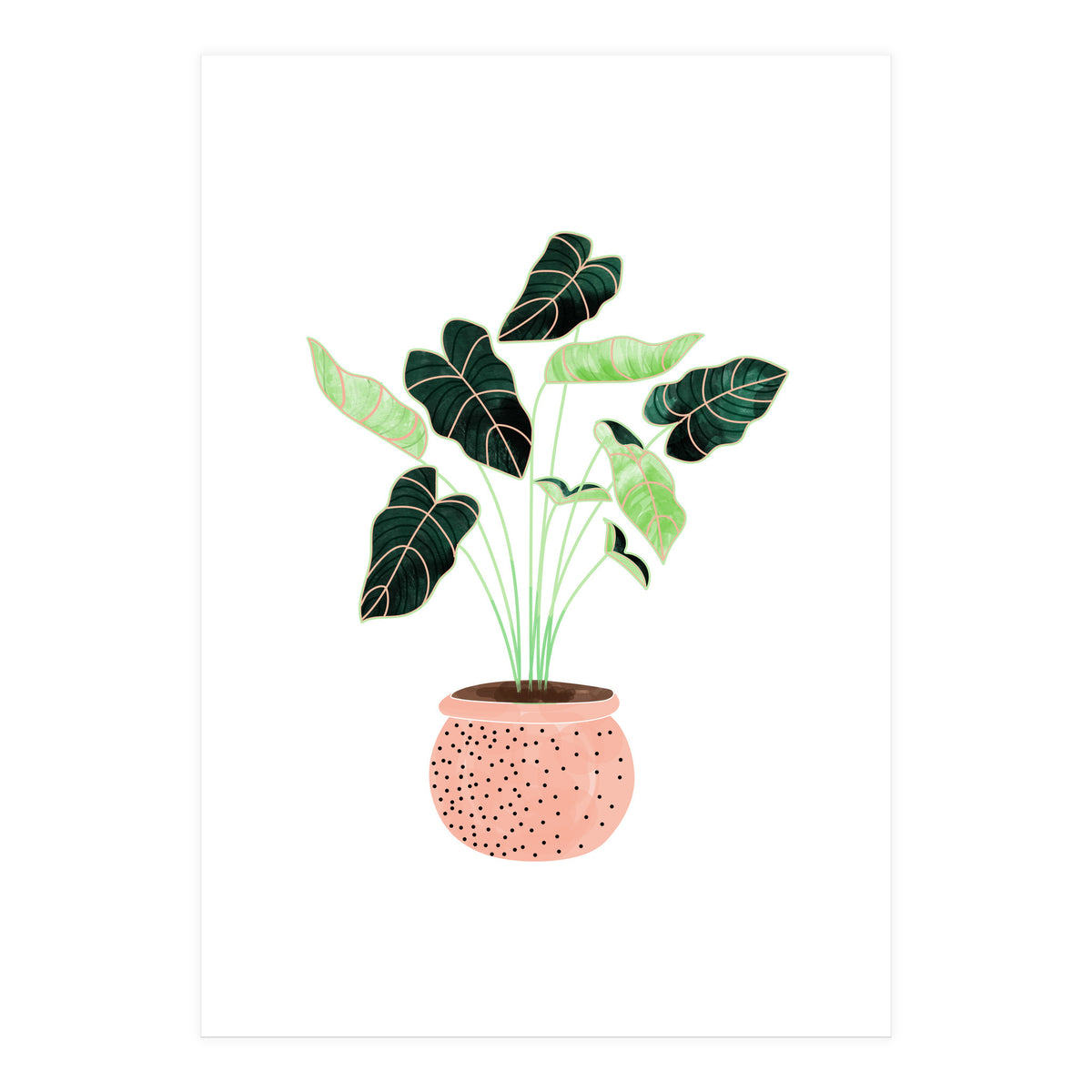 Home Plant | Ceramic Botanical Planter Illustration | Minimal Bohemian Watercolor Painting Polka Dot (Print Only)