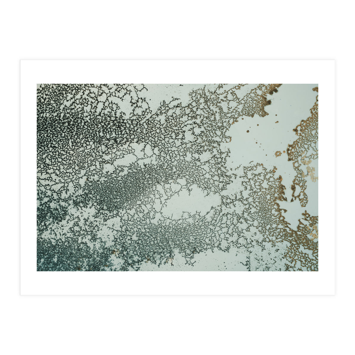 Synchronize (Print Only)