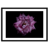 Backyard Flowers No 111 Color Version thumbnail