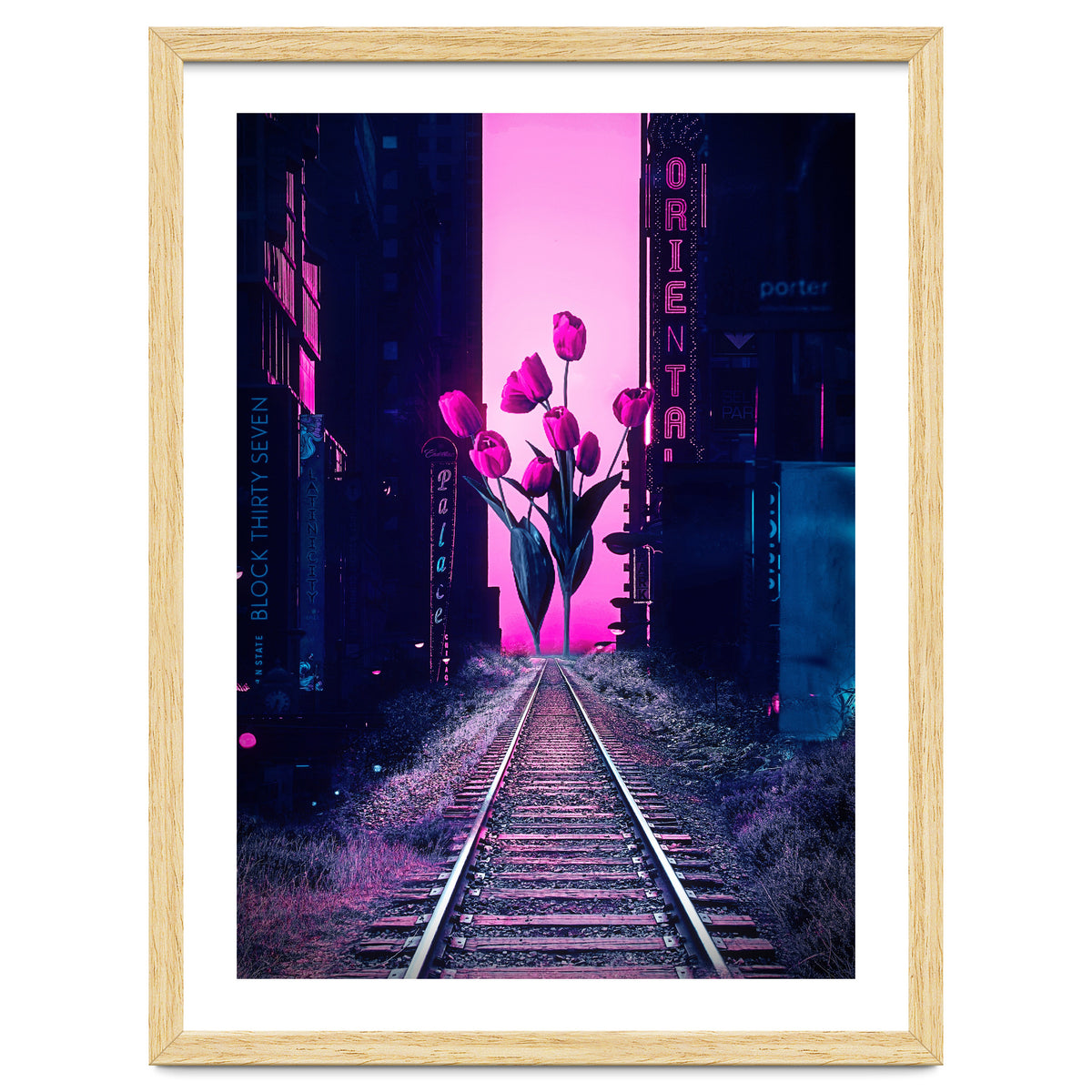 red tulips in the middle of the city