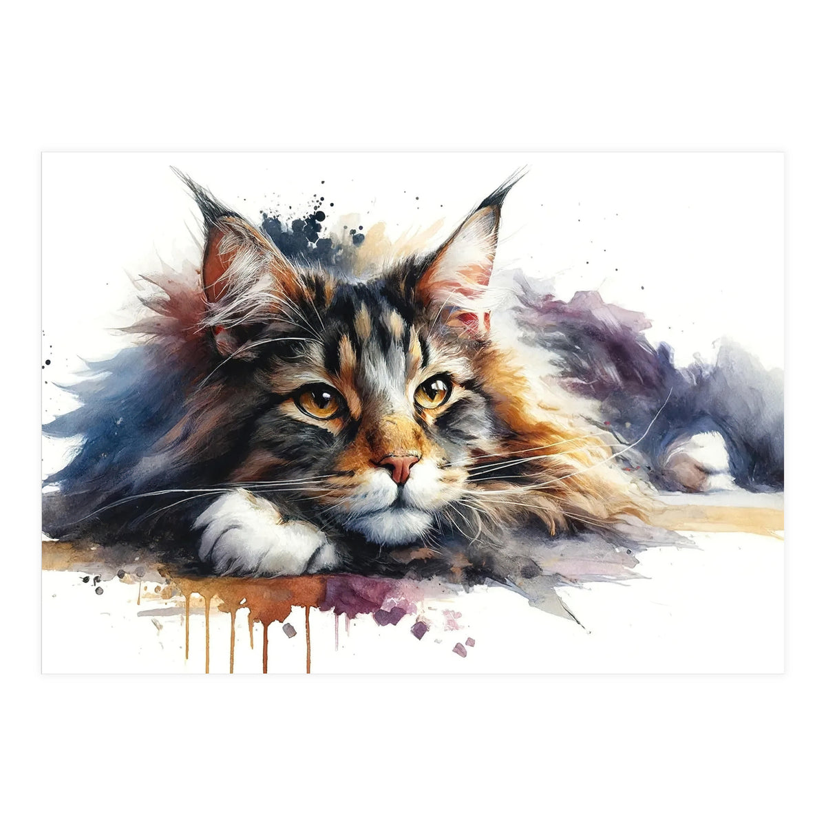Maine Coon Resting Portrait (Print Only)