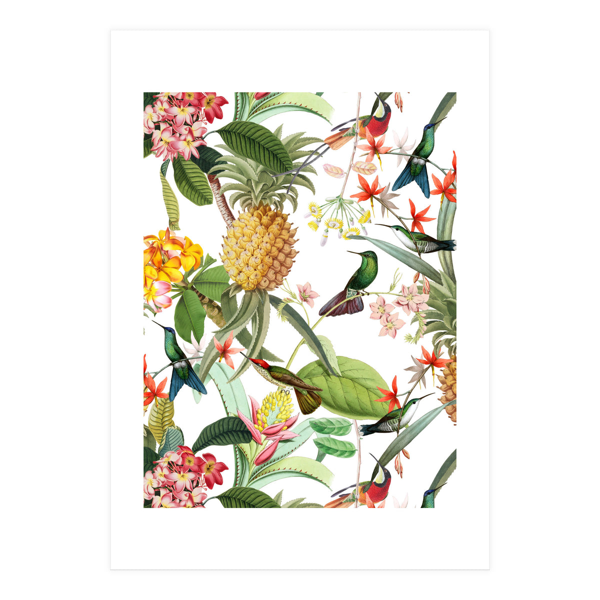 Hummingbirds in tropical Jungle (Print Only)