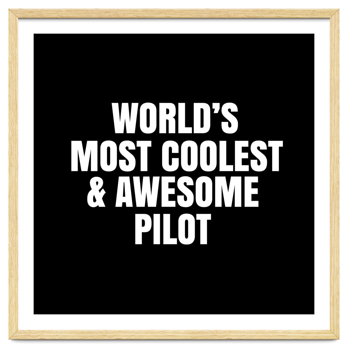 World's most coolest and awesome pilot