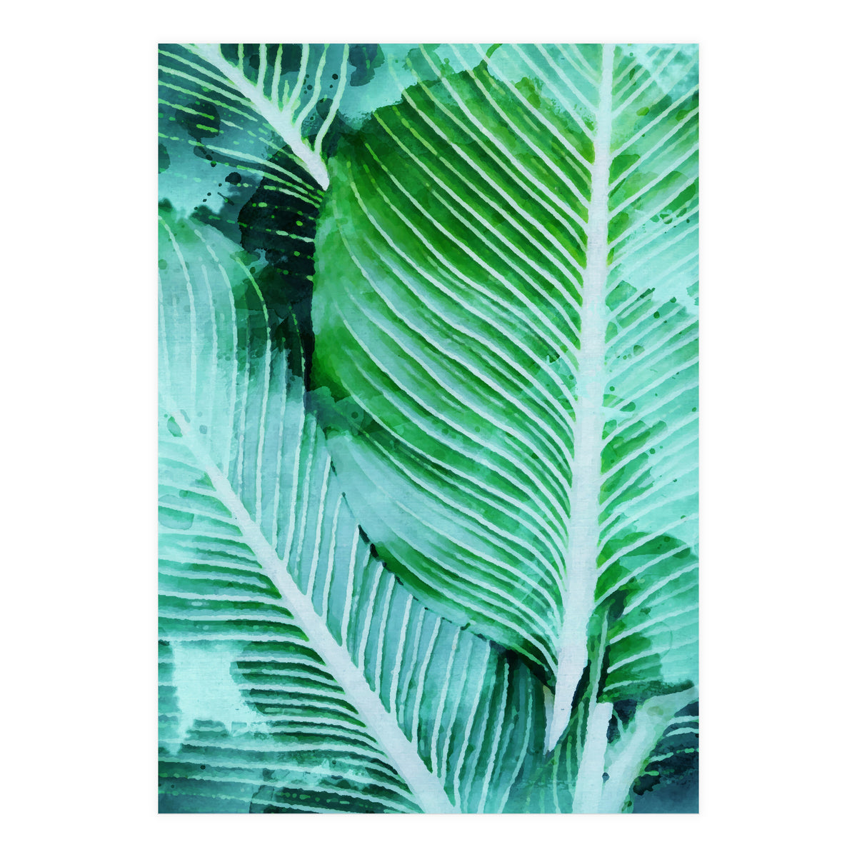 Rearranged Beauty (Print Only)