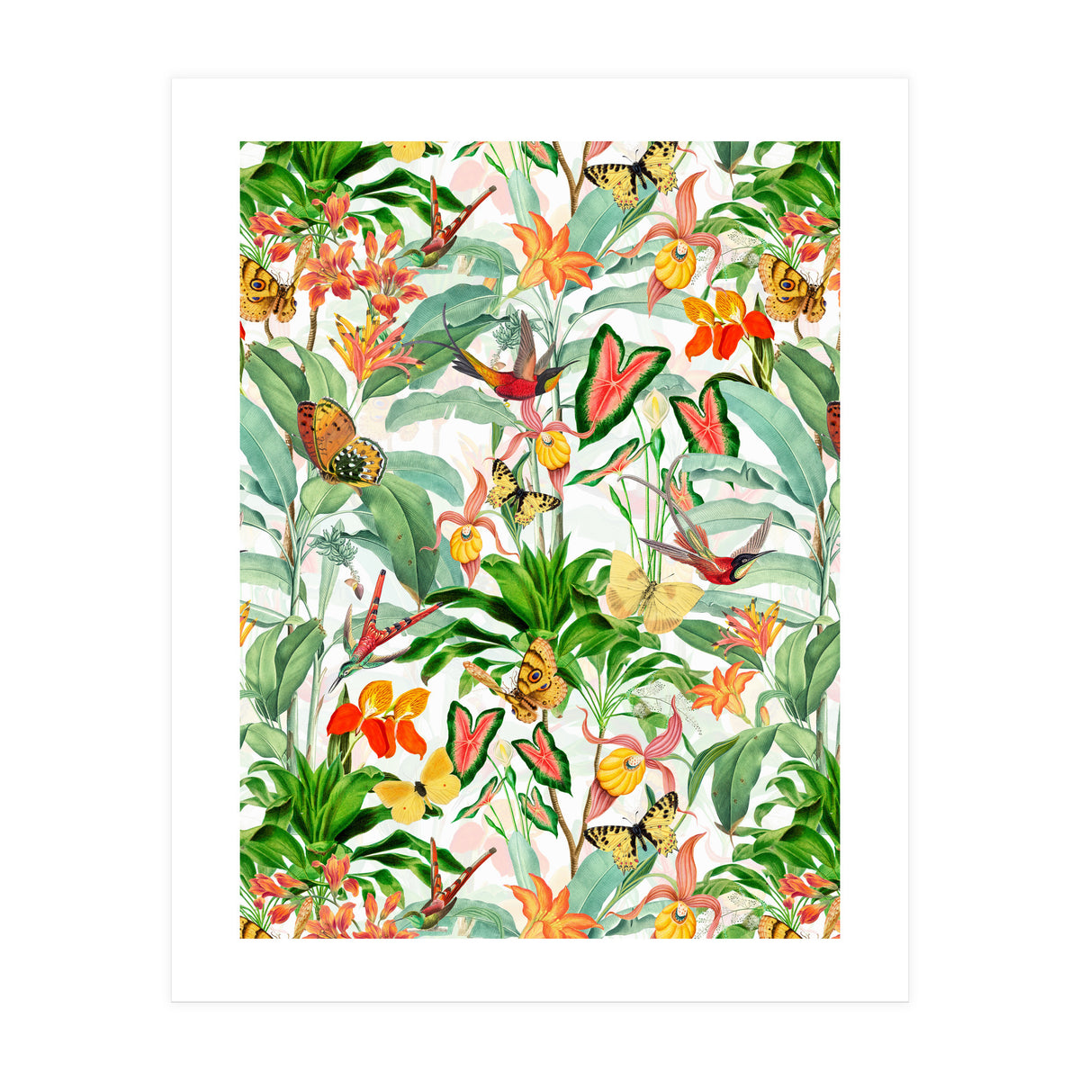 Birds And Butterflies In Tropical Jungle (Print Only)