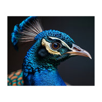 Close Up Peacock Head Blue Green Feather  (Print Only)