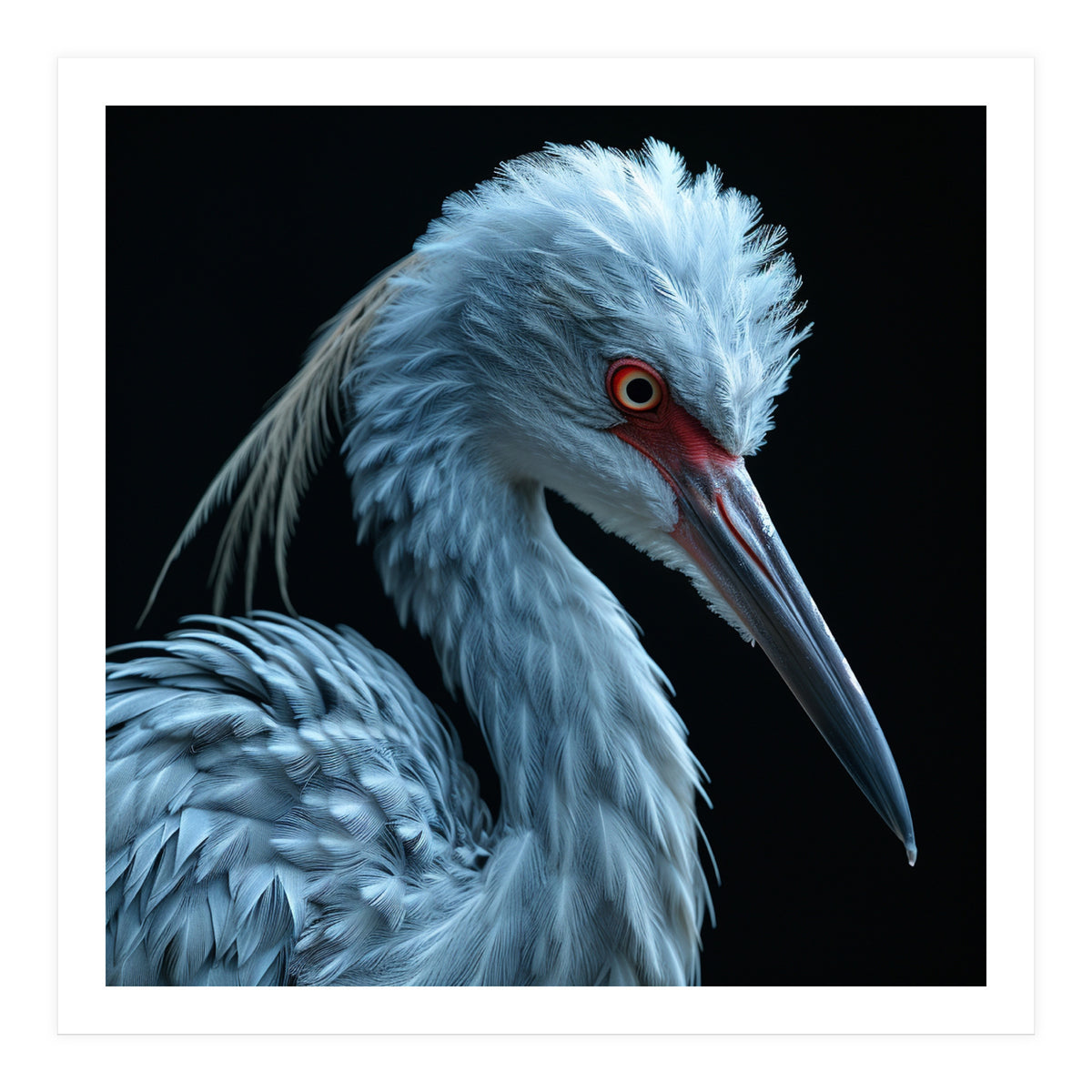 Striking Portrait Of A Blue Heron Bird (Print Only)