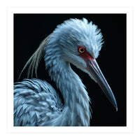 Striking Portrait Of A Blue Heron Bird (Print Only)