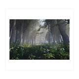 Art In The Forest (Print Only) thumbnail