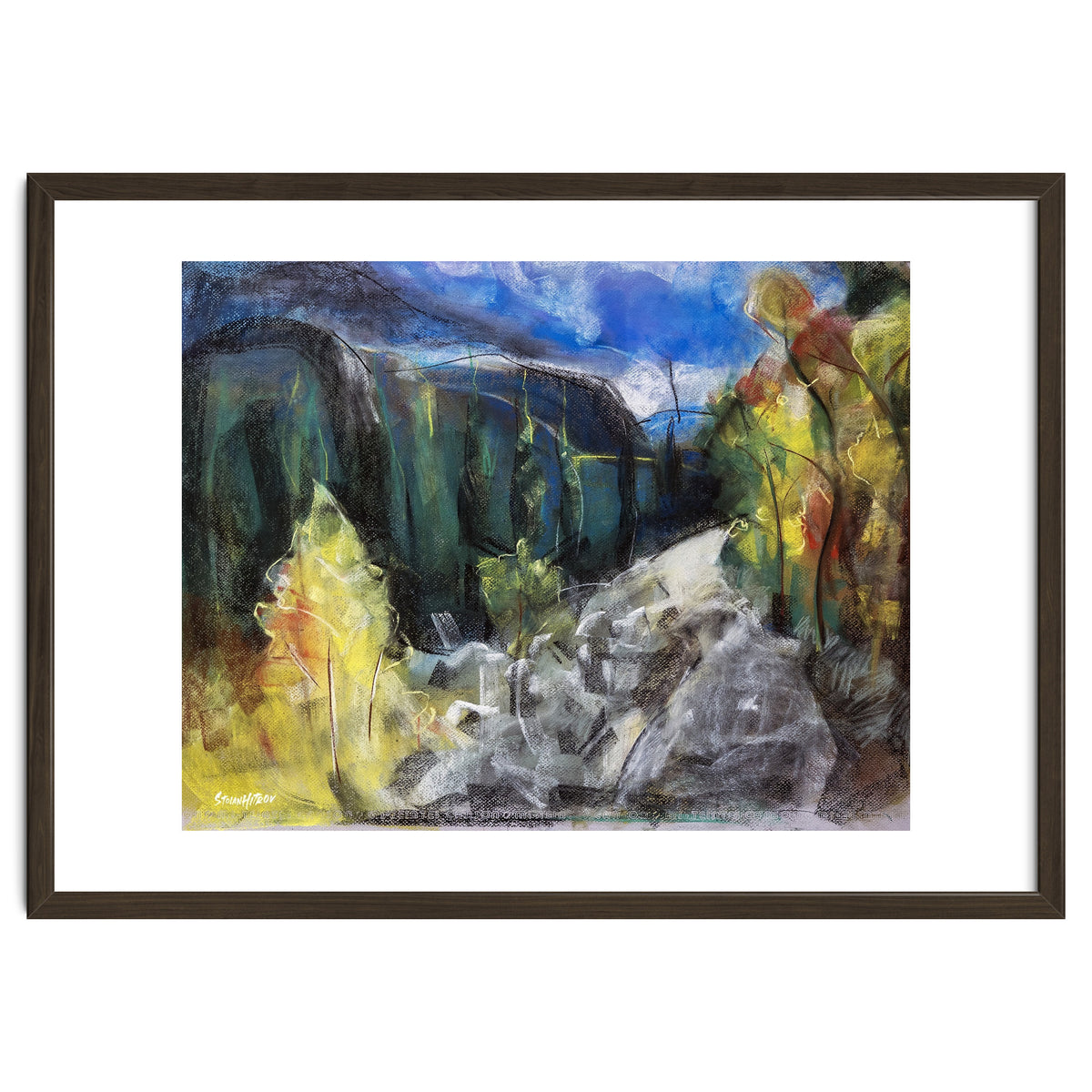 The Forest of Rila Mountain