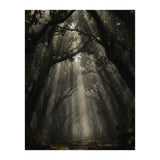 Enchanted Canopy: Mystical Forest Path (Print Only) thumbnail