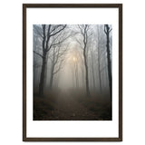 Ethereal Morning Light Breaking Through Dense Forest Fog thumbnail