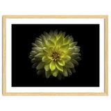 Backyard Flowers No 128 Color Version thumbnail