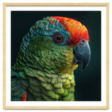Close Up Colorful Parrot Bird Feather thumbnail