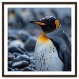 King Penguin Standing In Snowfall Outdoors thumbnail