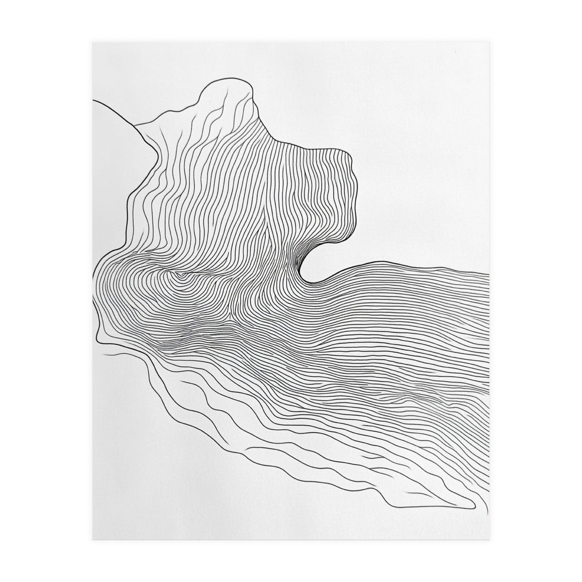 Abstract Black And White Organic Flowing Lines Pattern (Print Only)