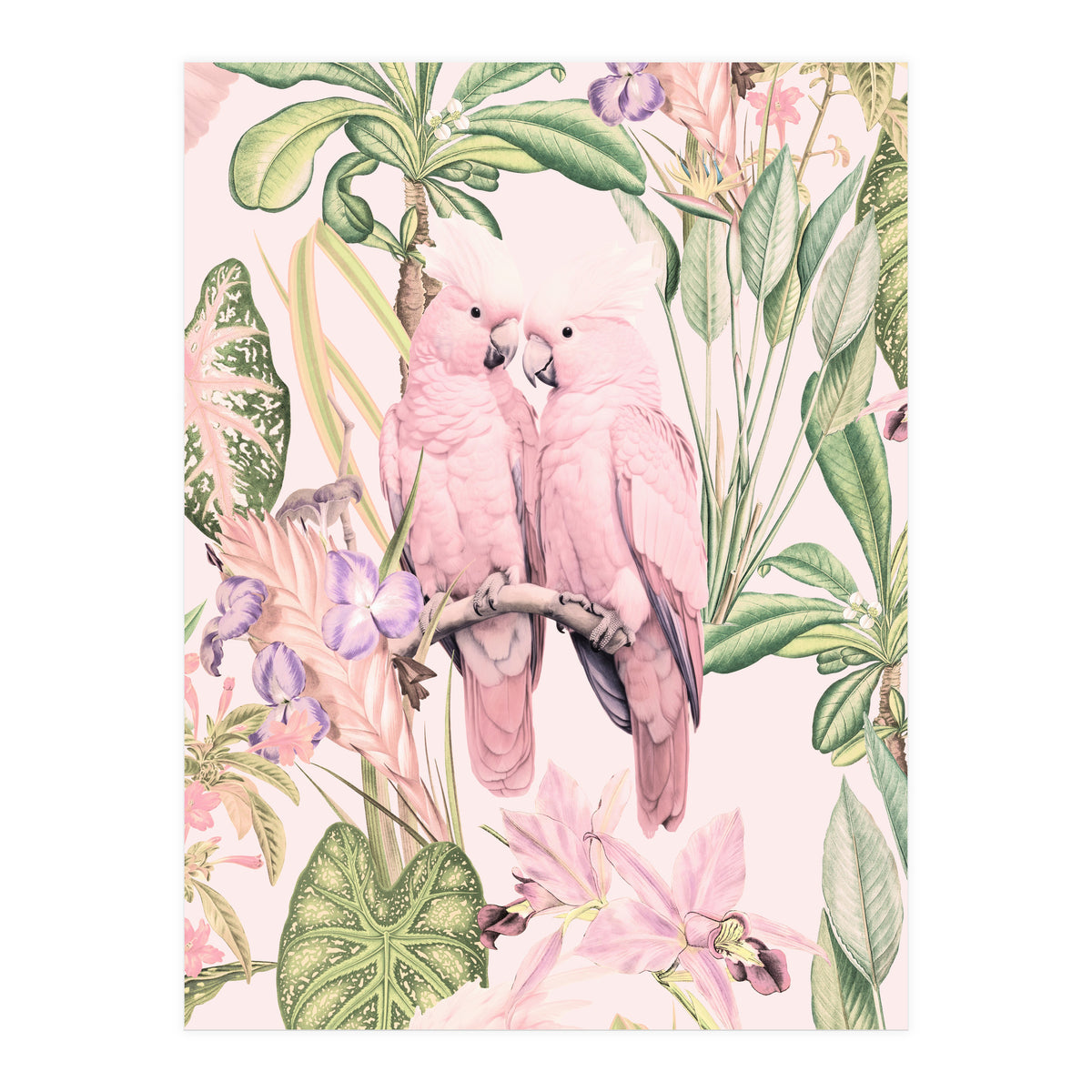 Pink Cockatoos in Love (Print Only)