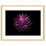 Backyard Flowers No 57 Color Version thumbnail
