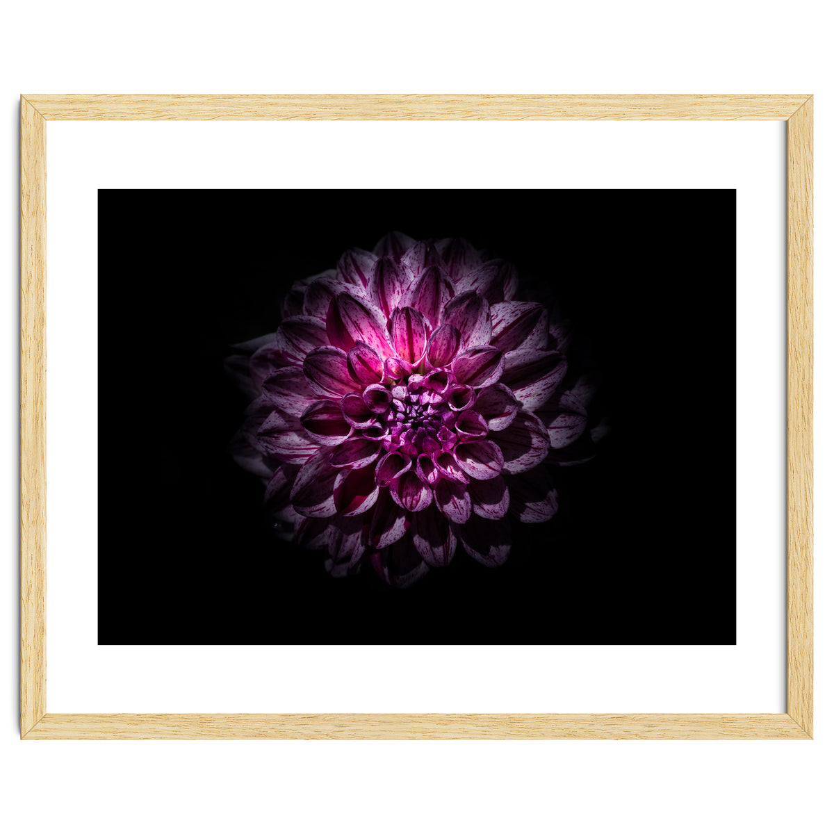 Backyard Flowers No 57 Color Version