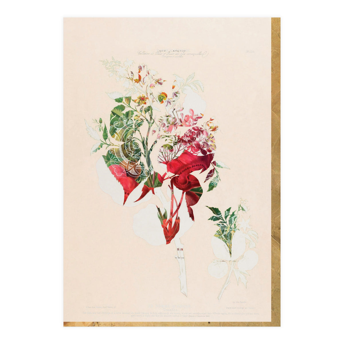 The First Plant · Aufbluehen (Print Only)