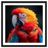 Scarlet Macaw Parrot Portrait Vivid Colors thumbnail