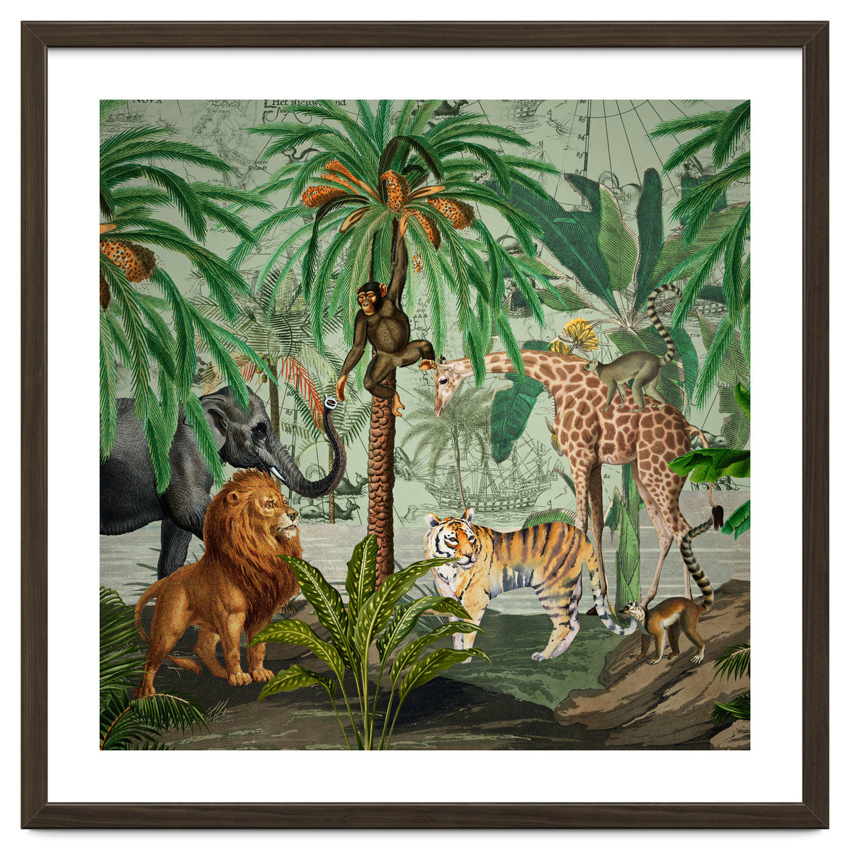 Vintage African Adventure