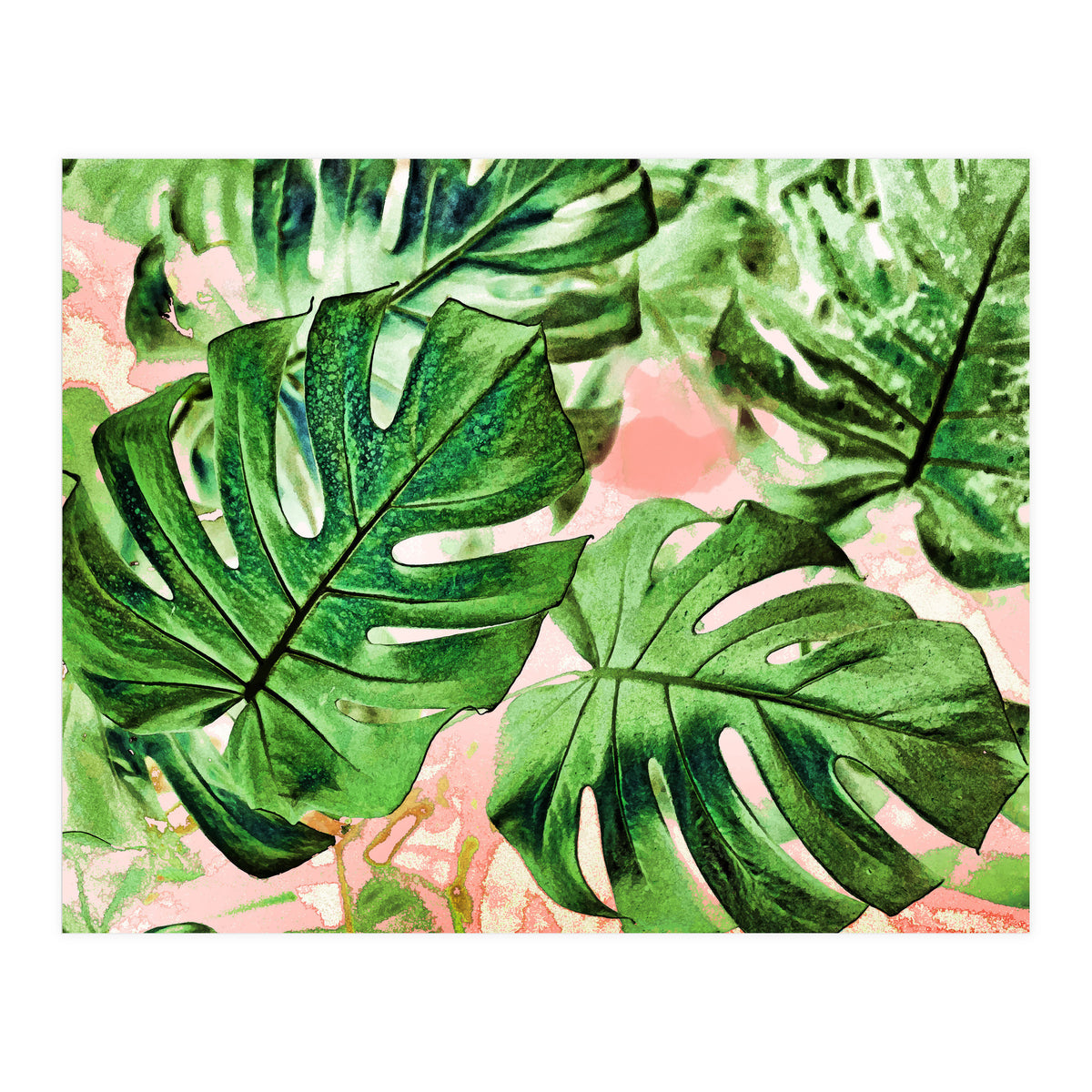 Monstera Beauty #society6 #decor #buyart (Print Only)