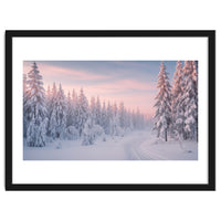Winter’s Gentle Embrace